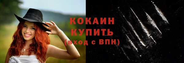 стафф Аркадак