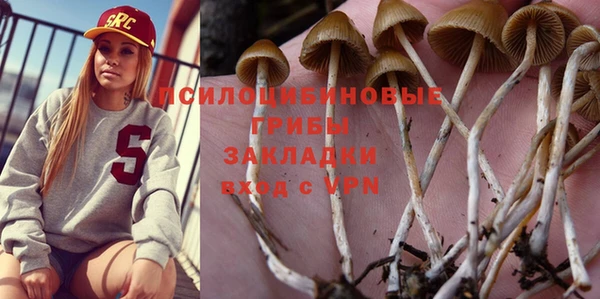 стафф Аркадак