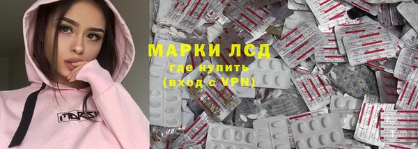 стафф Аркадак