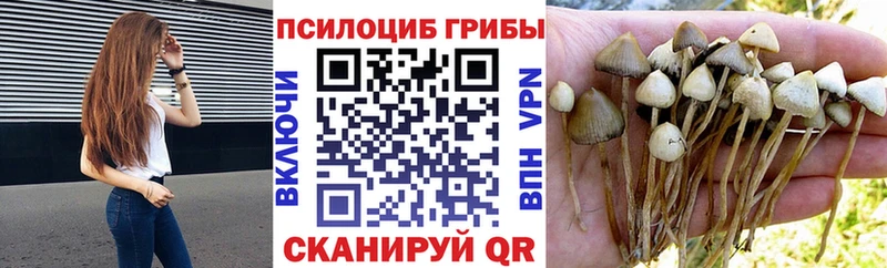 Псилоцибиновые грибы ЛСД закладка Белинский