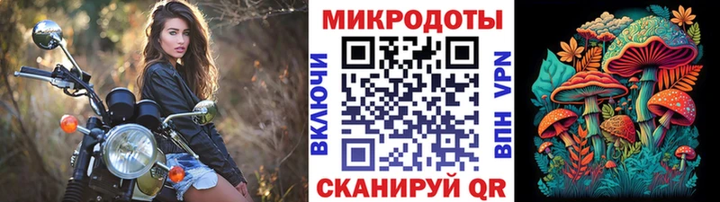 Галлюциногенные грибы Psilocybine cubensis Белинский