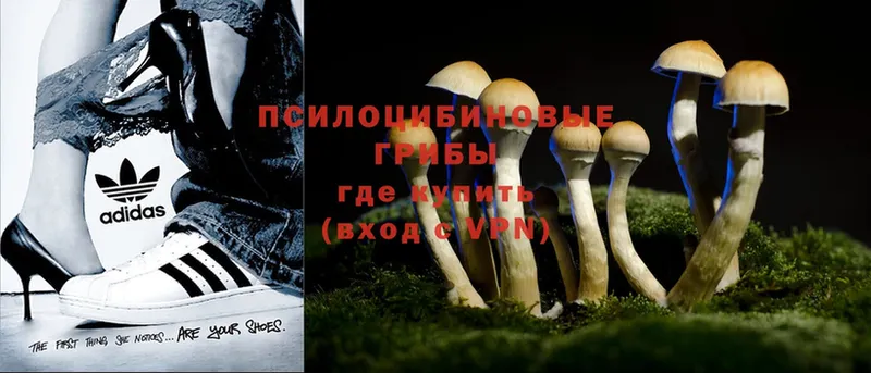 Псилоцибиновые грибы Magic Shrooms  Белинский 